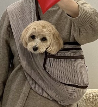 ervaのスリングには嫌がらずに入ります