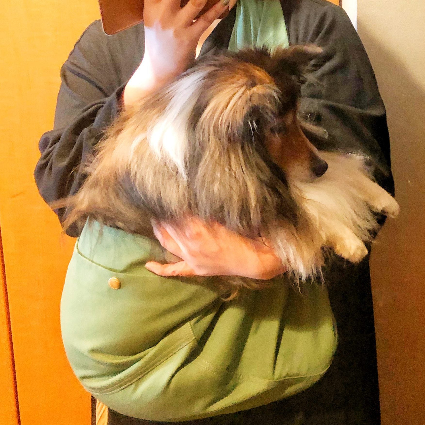 体調が良い時には行動範囲も広がりそう
