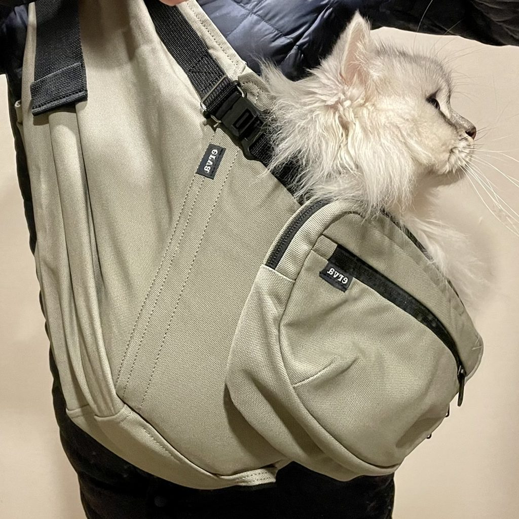すんなりじっと抱っこされてました