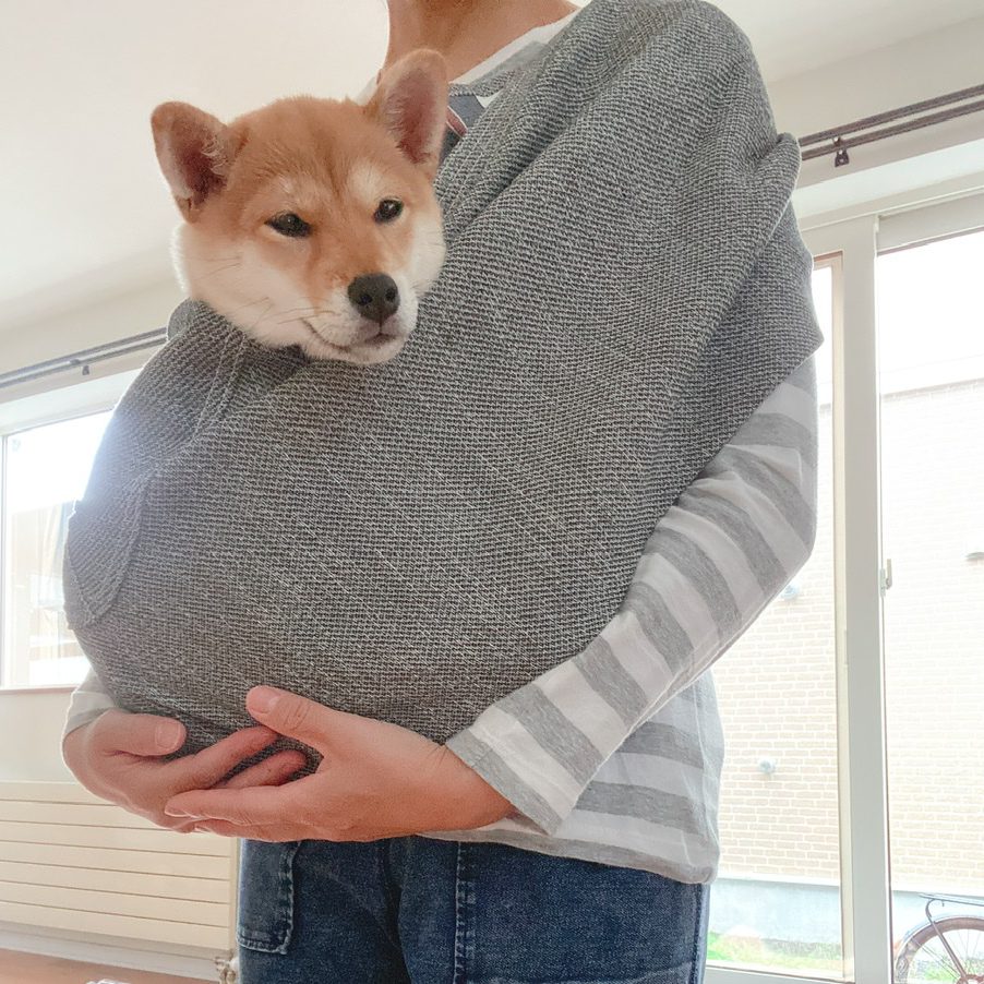 スリングに入ったまま寝てました