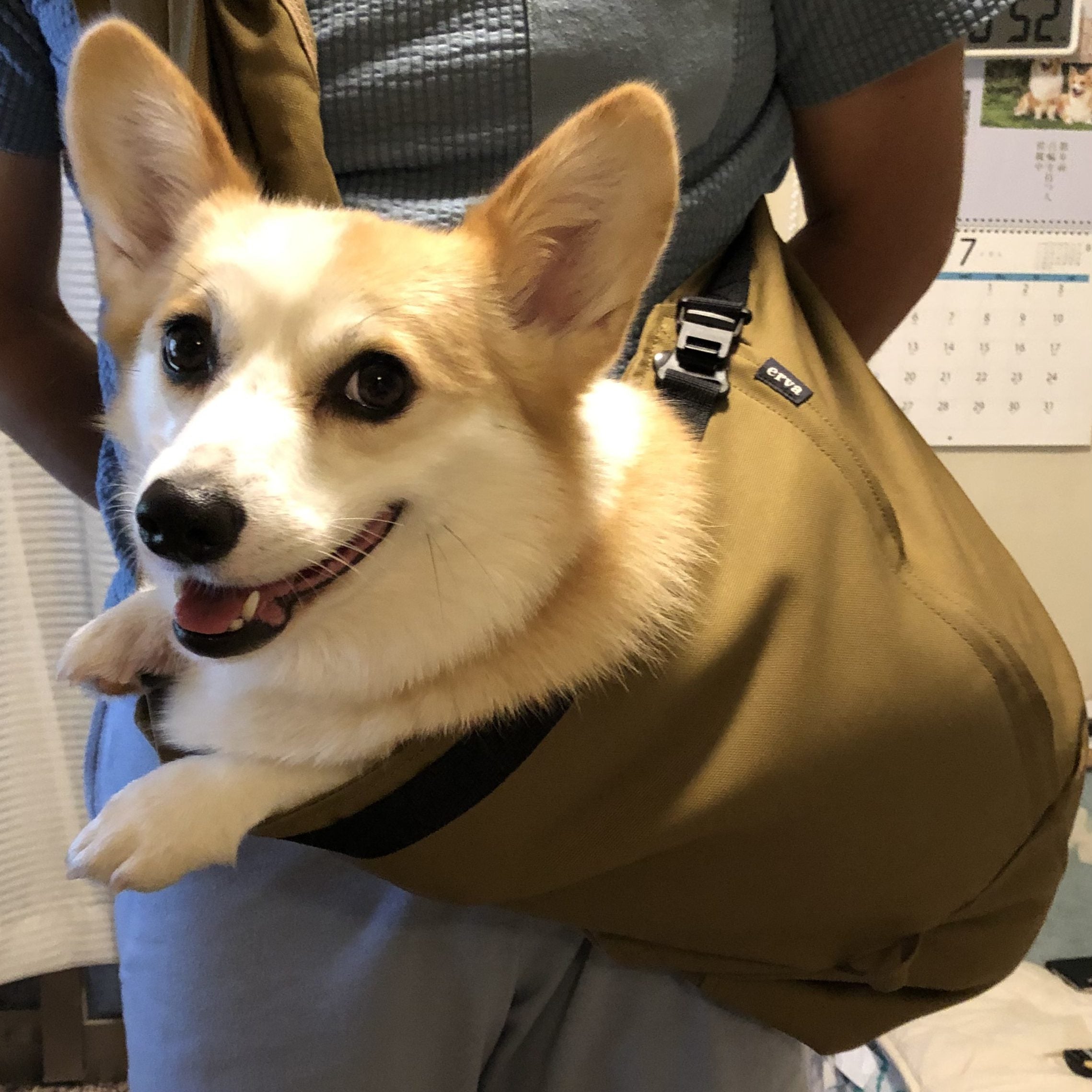 胴長ですが居住性も良さそう