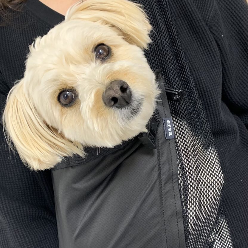 軽く生地感がかなり柔らかい