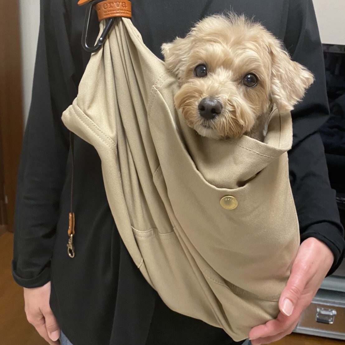 なんと楽なことか！