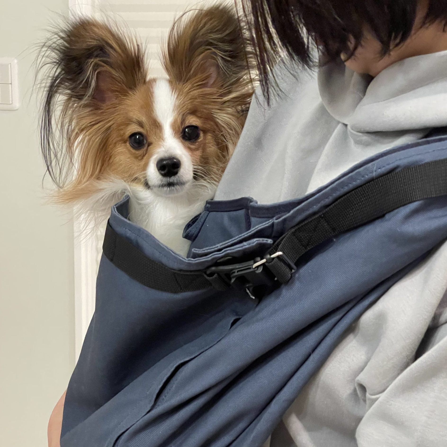 チャックから出入りできるのがとても使いやすい