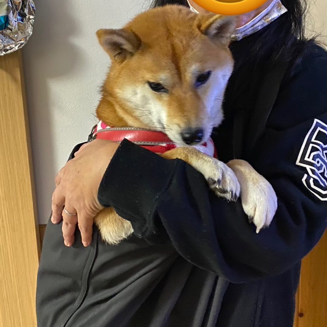 お誕生日にプレゼント