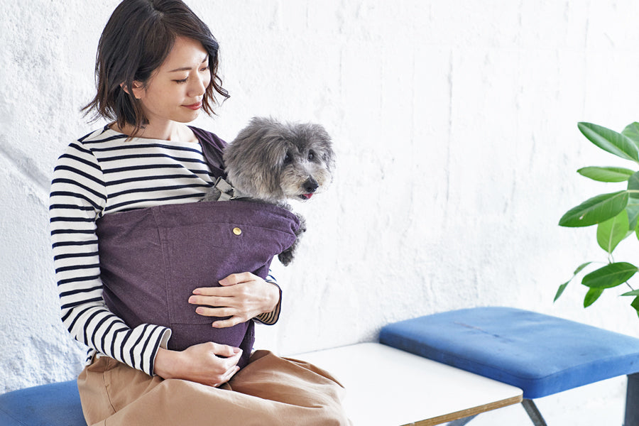 プロが伝授する犬に優しいドッグスリングの作り方。手作りする際の生地選びや設計の注意点を解説。