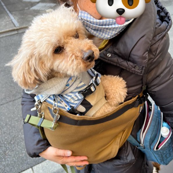 とても重宝させていただいています