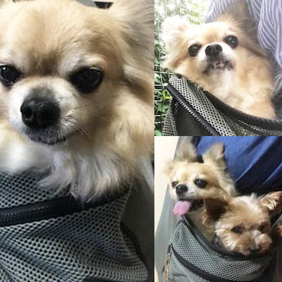 使用感もよくなじみやすい素材