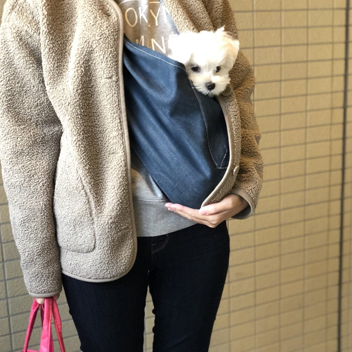 とても大人しくすっぽり