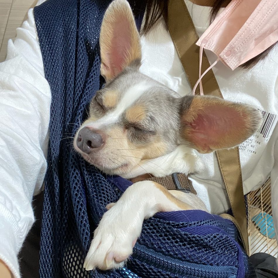 即決しました。