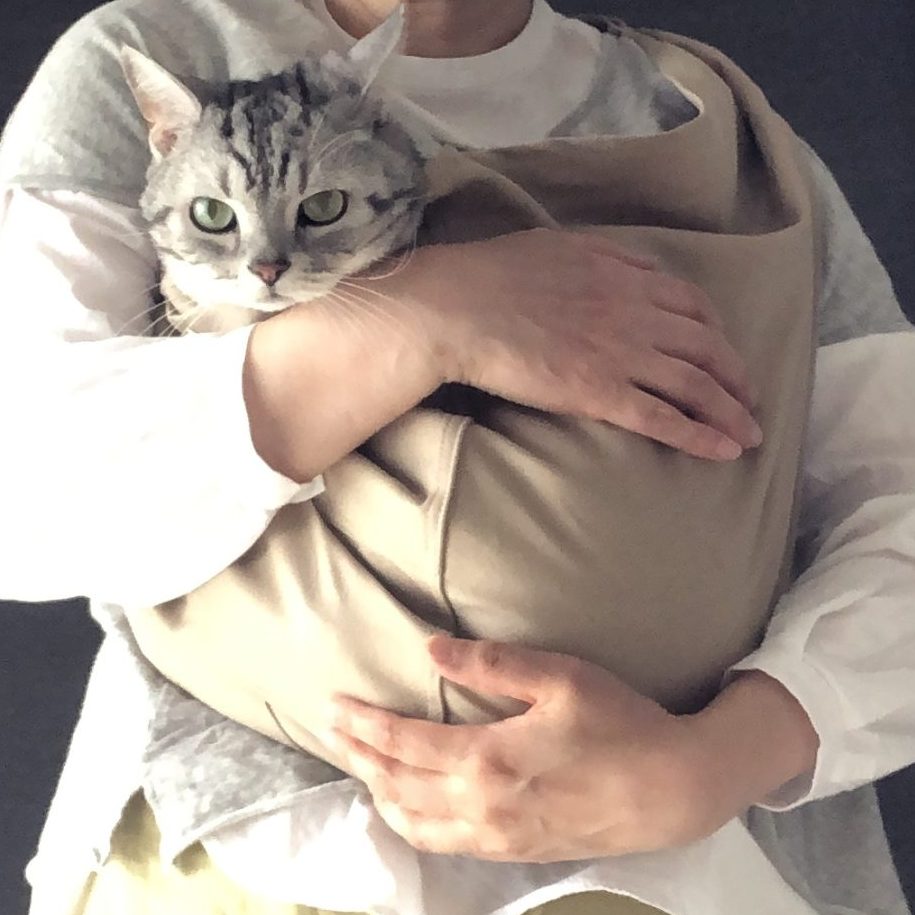 猫とお散歩