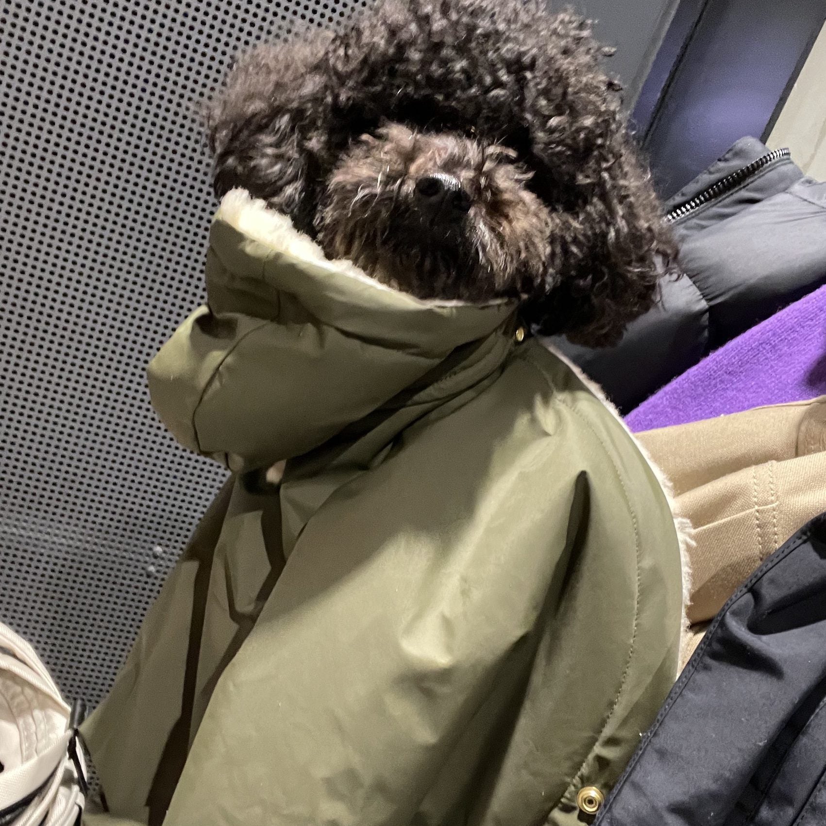 機能性だけじゃなく、おしゃれさも忘れない