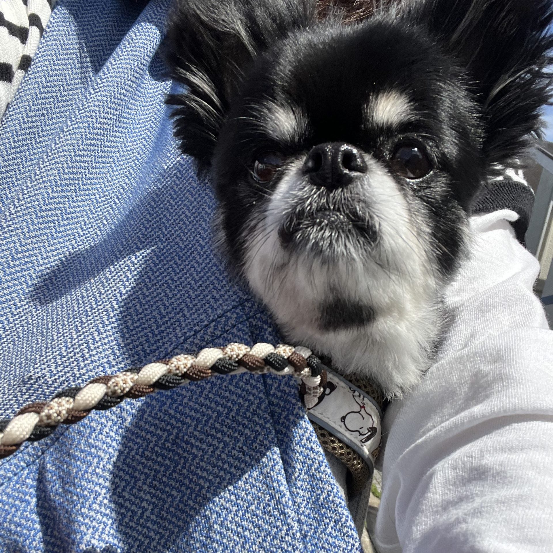 たくさんの景色を見せてあげたい