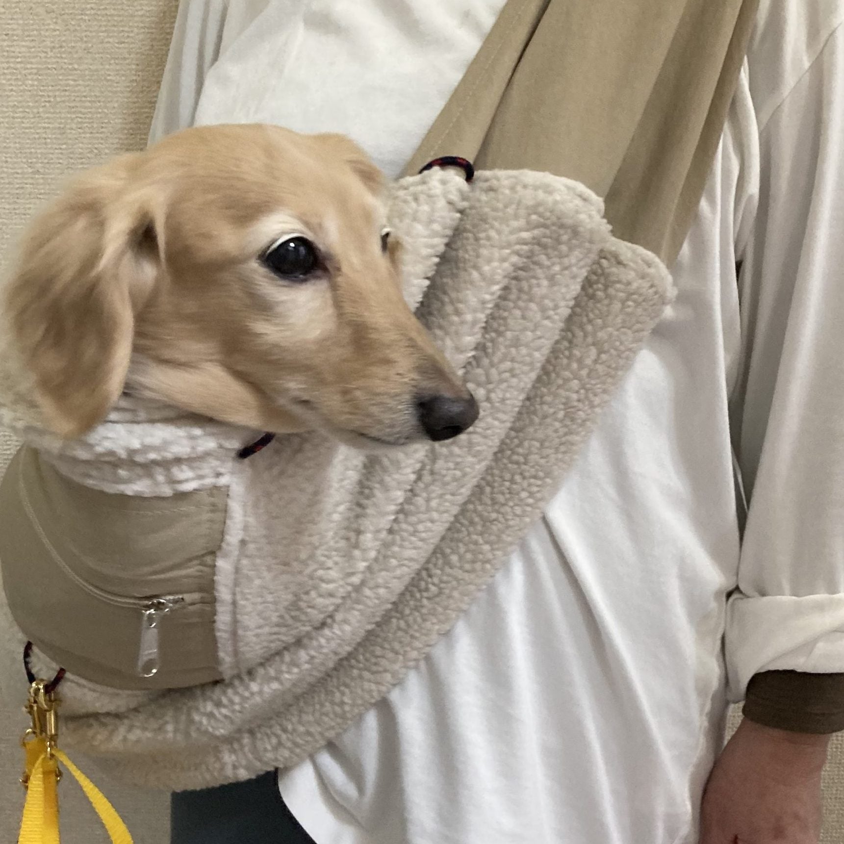アトピーの子でも安心
