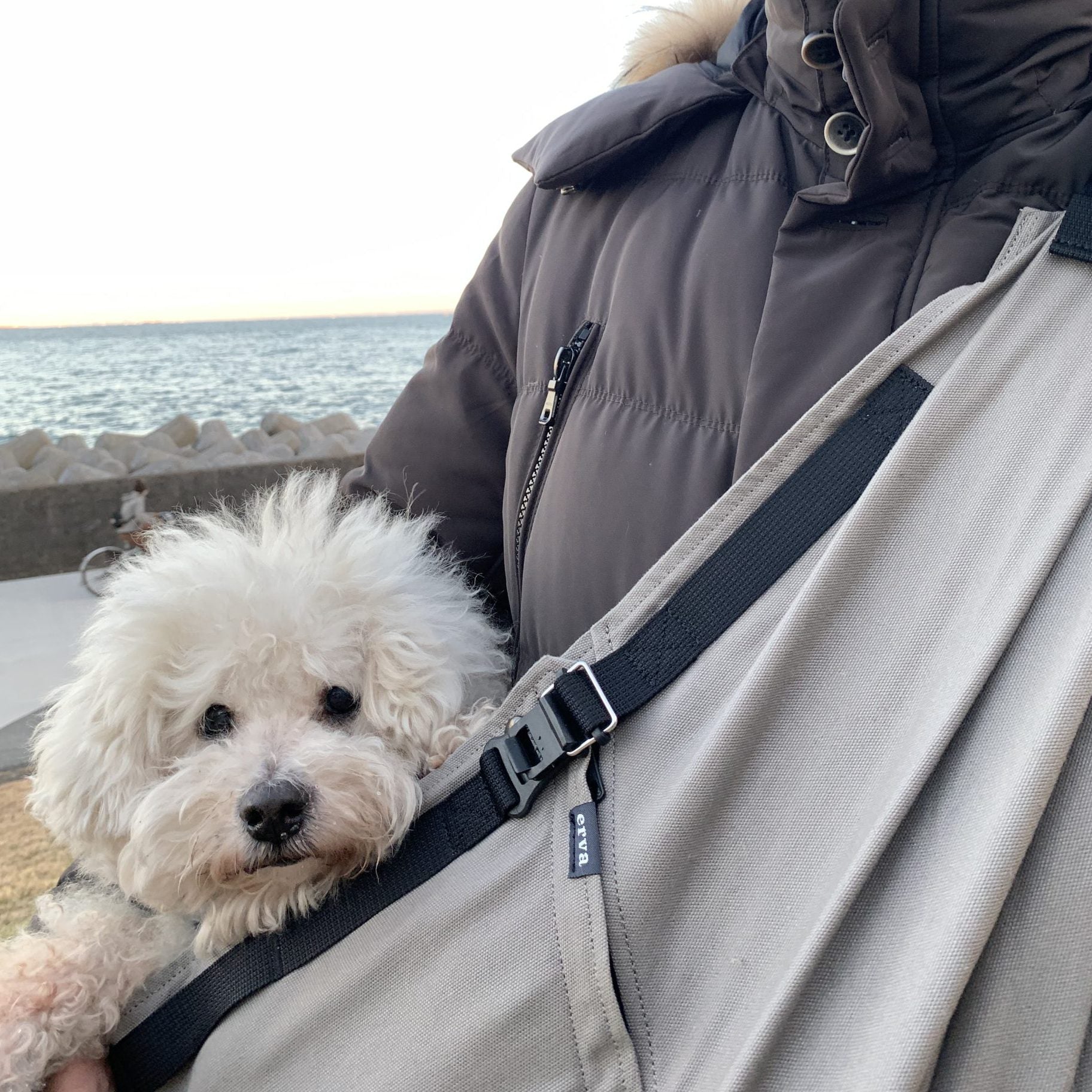 しっかり安定してくれて、犬も中で安心