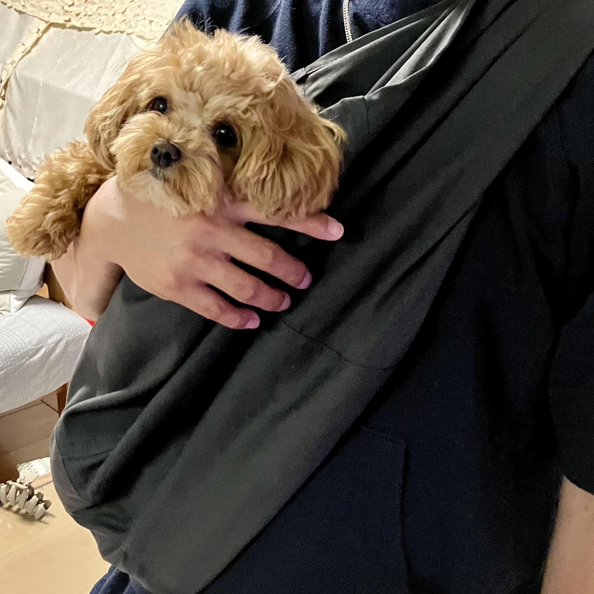 使いやすさや可愛らしさに惹かれて