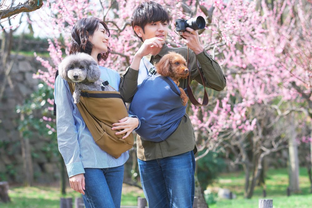 愛犬用の抱っこ紐(スリング)はいつ使う？おでかけ「以外」でも大活躍！