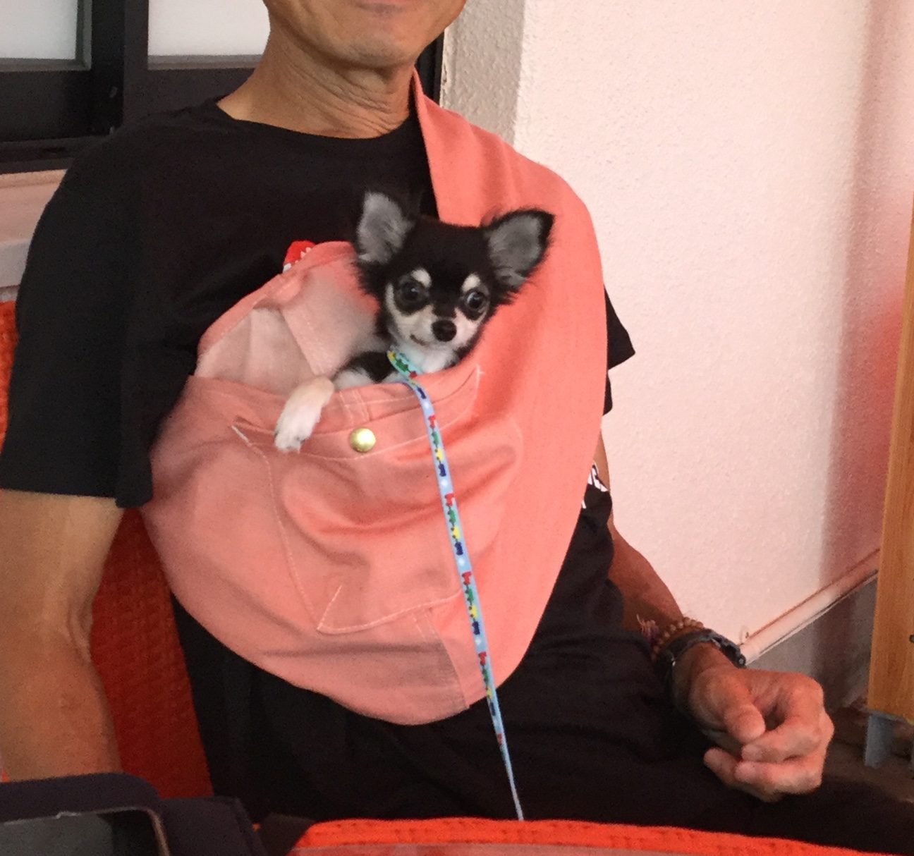 安心した様子でじっとしています