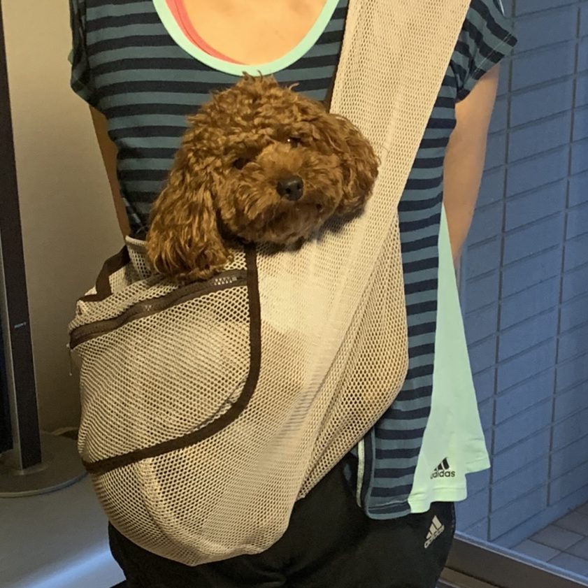 日本製へのこだわりが素敵