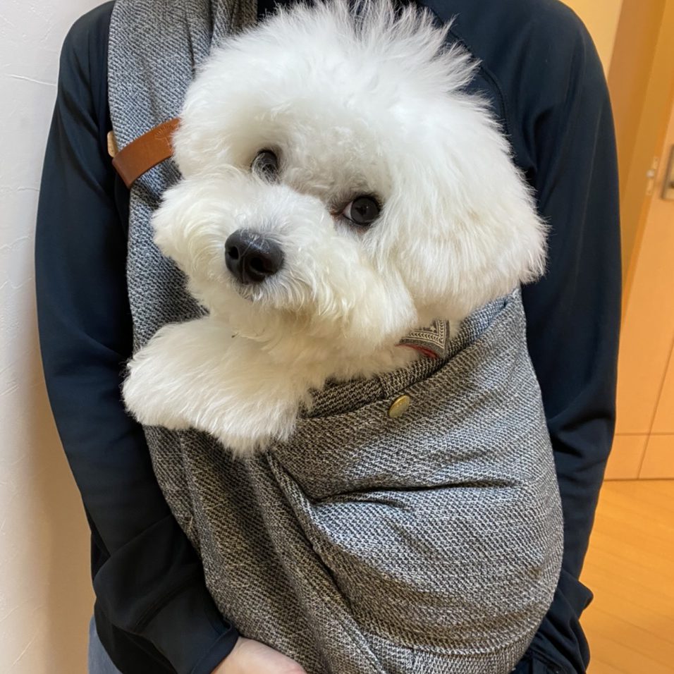 すっぽりとおさまる感じが安心