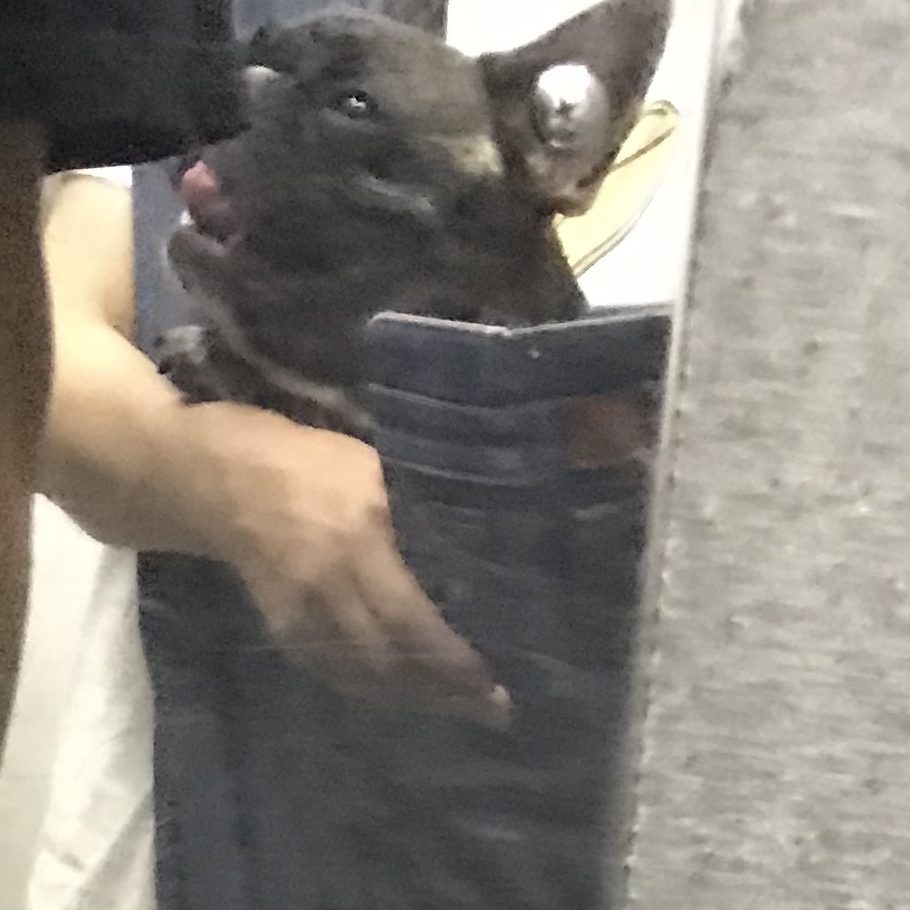 手が使えて楽