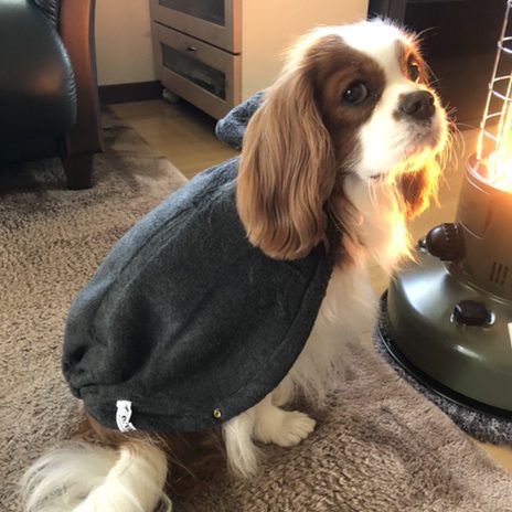 犬種/体重別のご感想 | ドッグスリング・犬の抱っこ紐専門ブランド