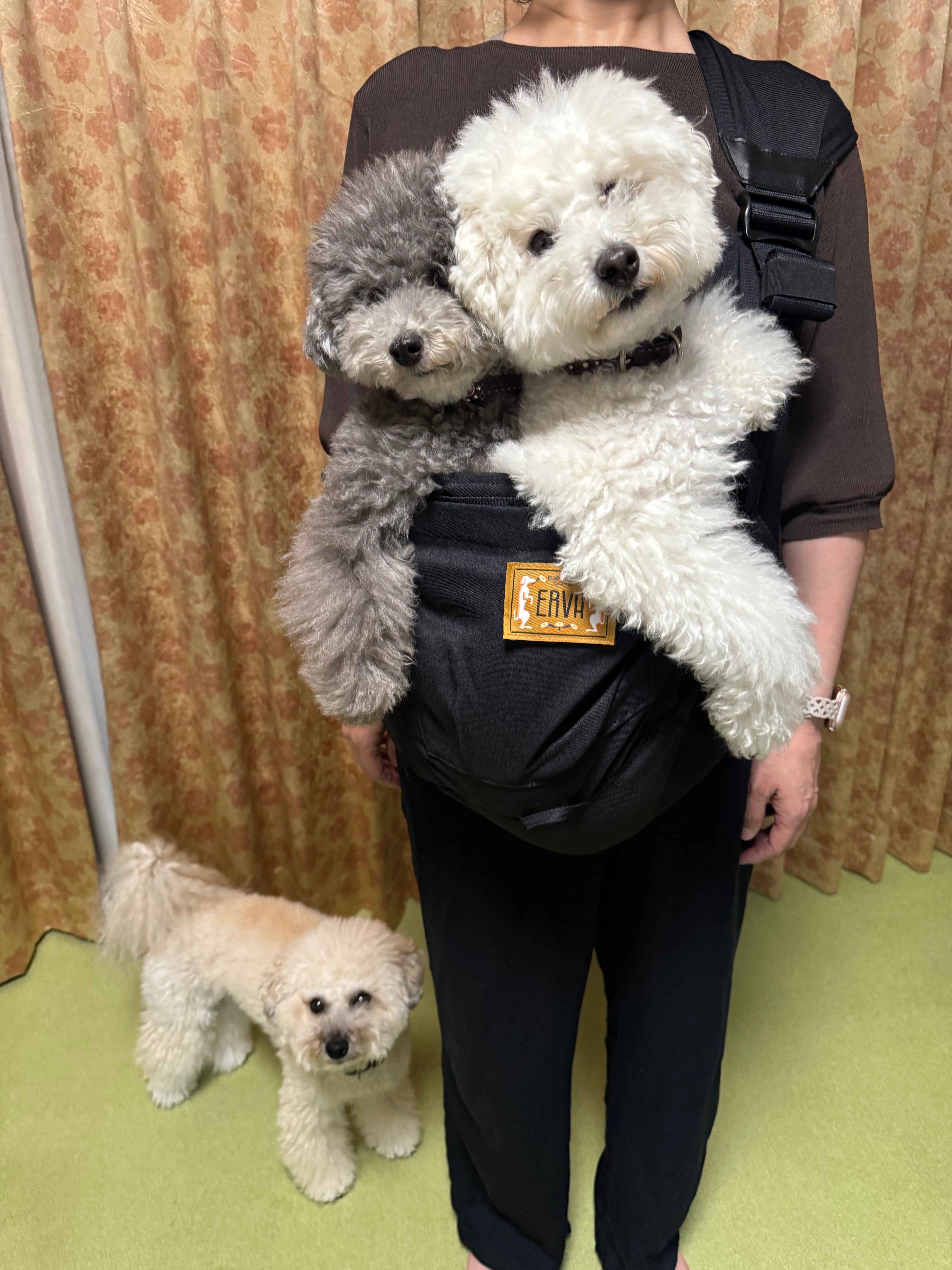 色違いも欲しい