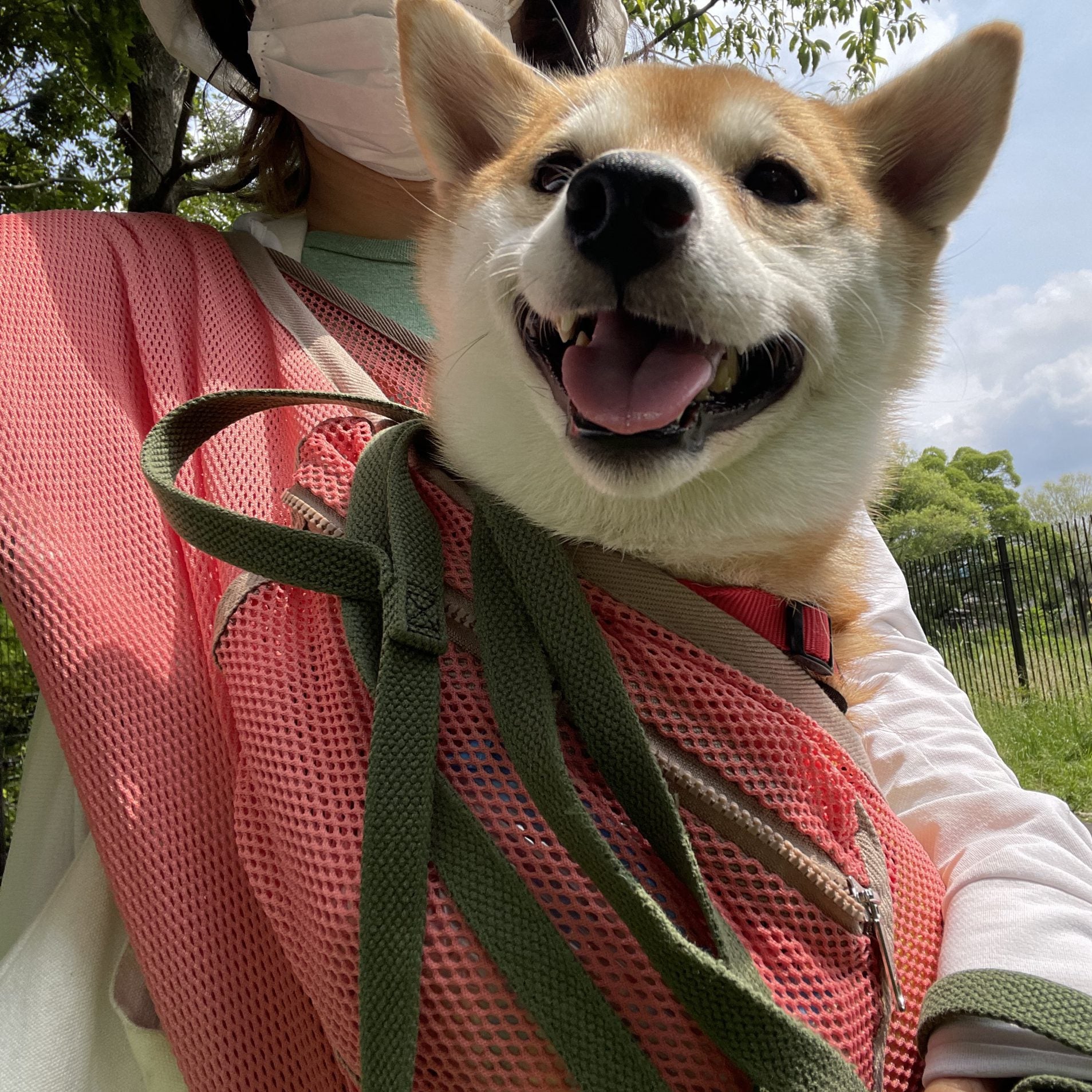 緊急時の避難のこと