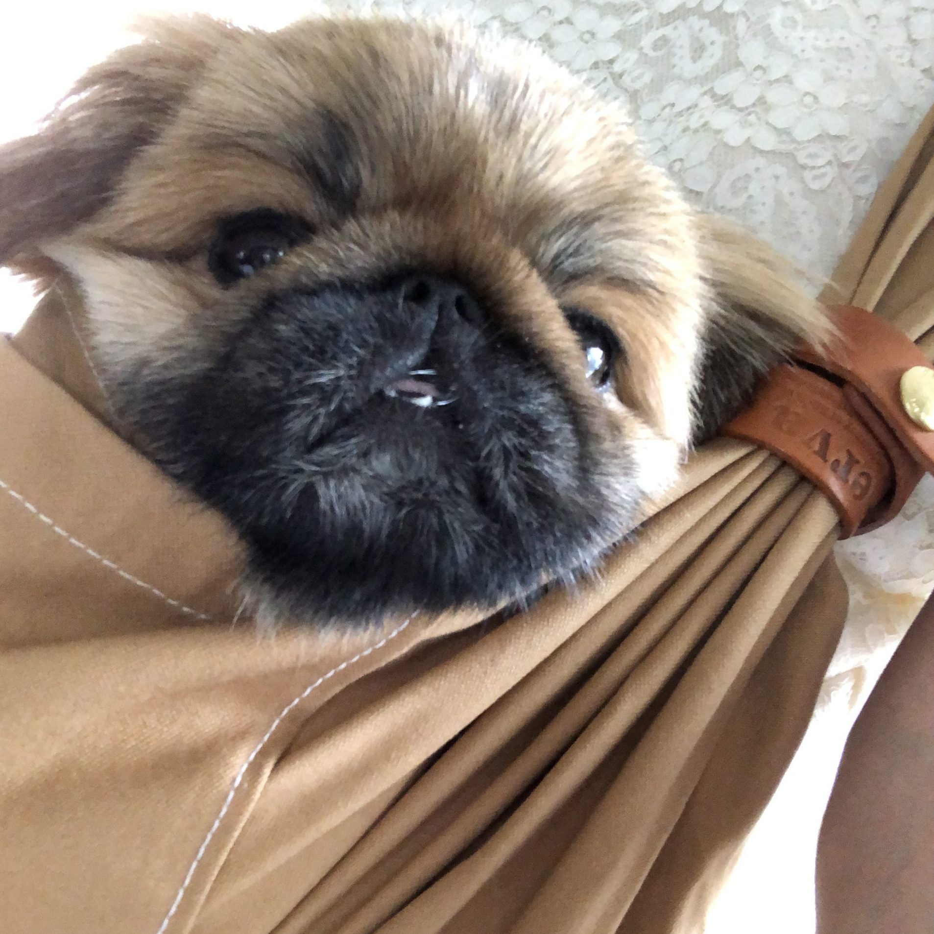 中から出ずにそのまま寝ています