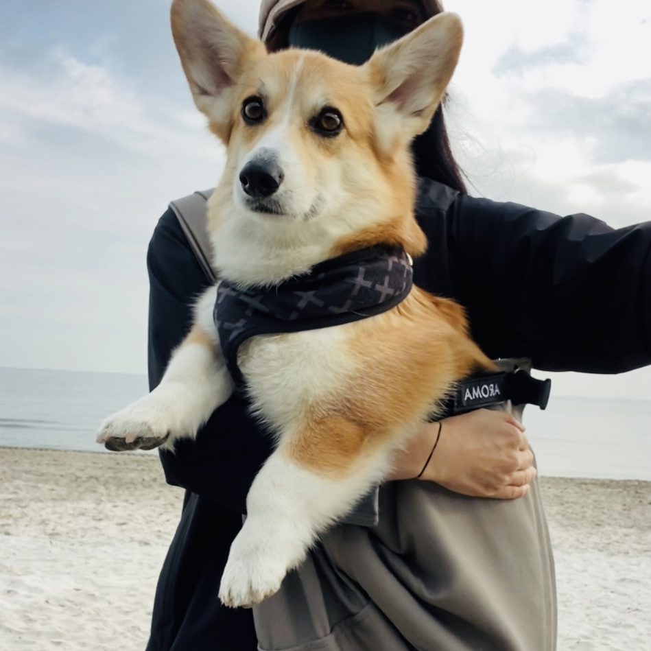 ネームプレートを付けたら可愛さ倍増