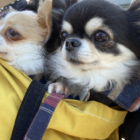 丈夫な作りで安心