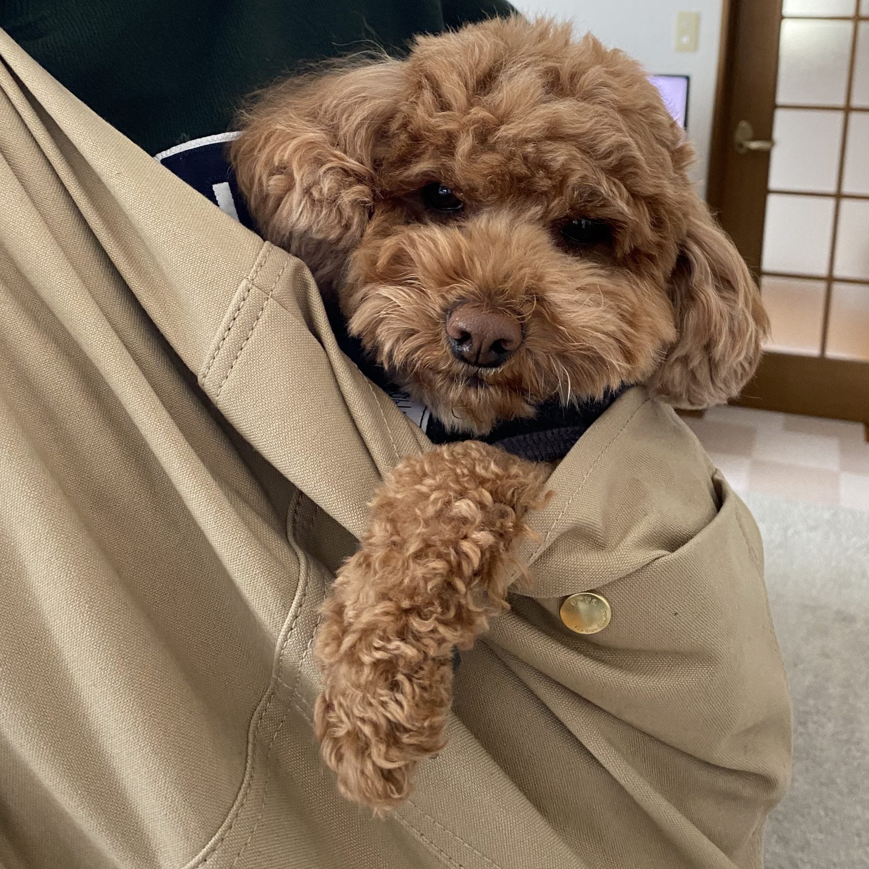 長く使えそうで、良い買い物ができました