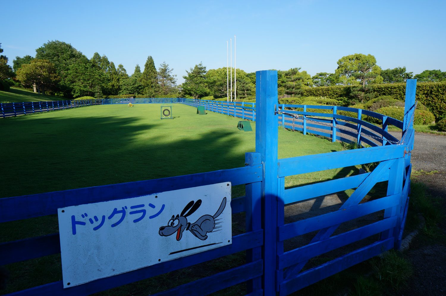 ドッグラン