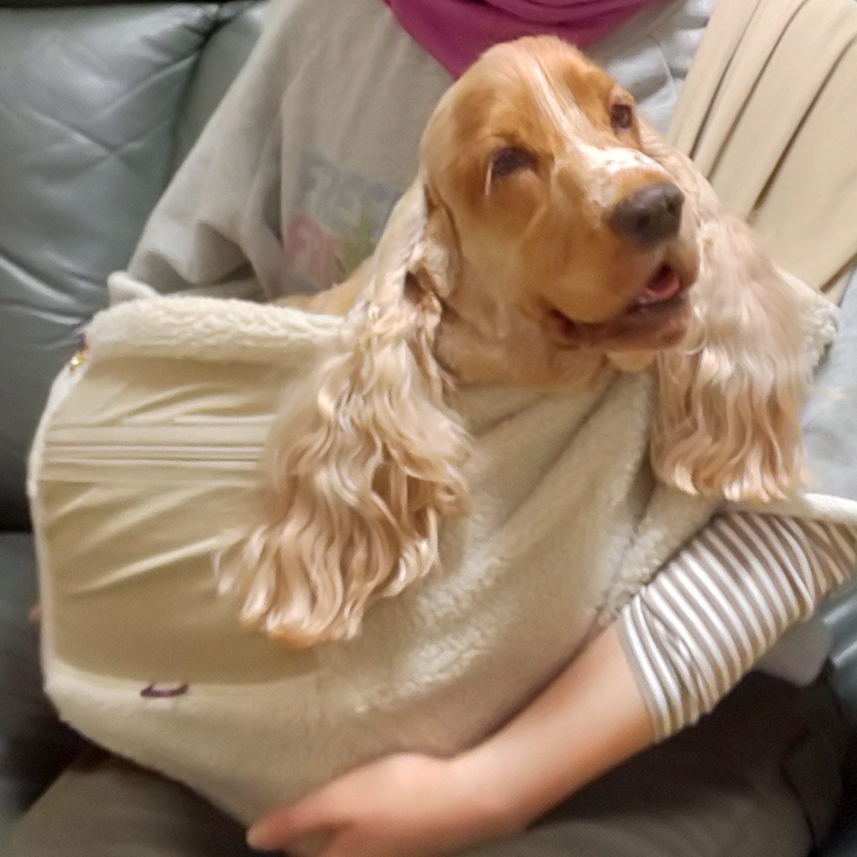 生地が柔らかく居心地が良かった