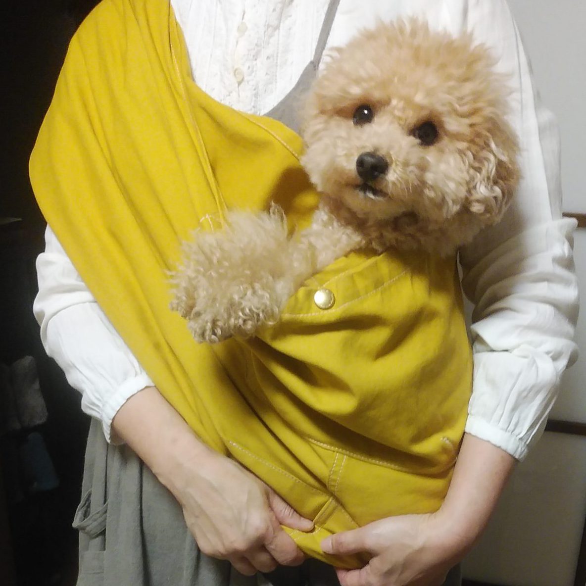 カラーも大人色
