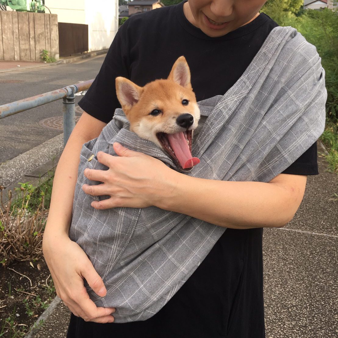 愛犬もいつもより安心している