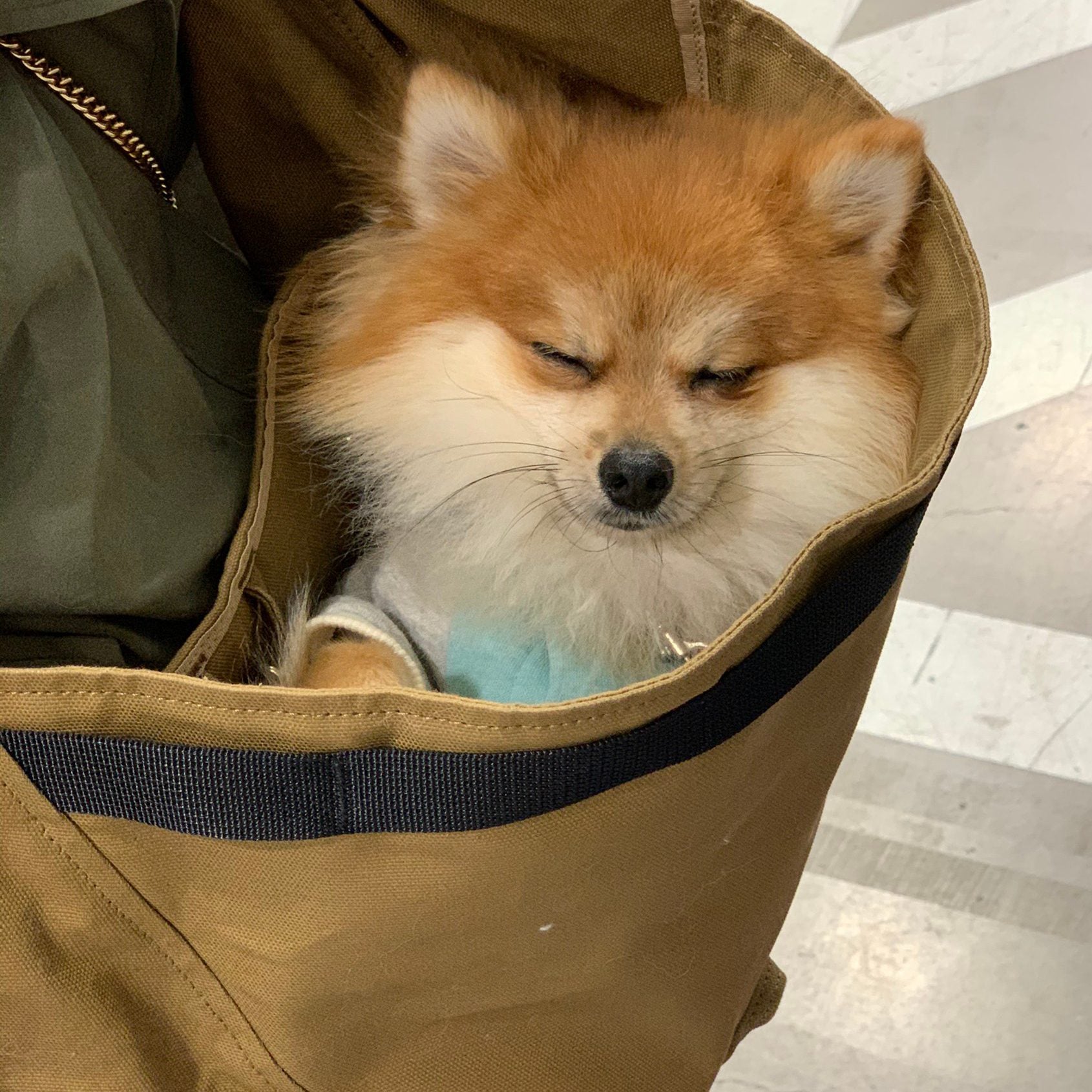 スリングにすることで安心