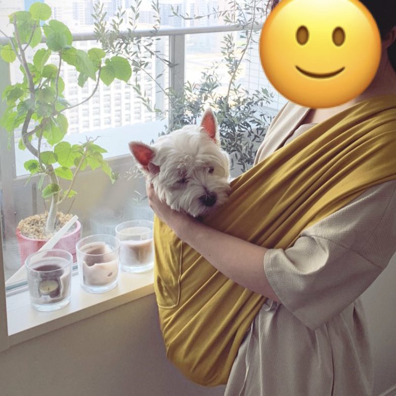 大大満足です
