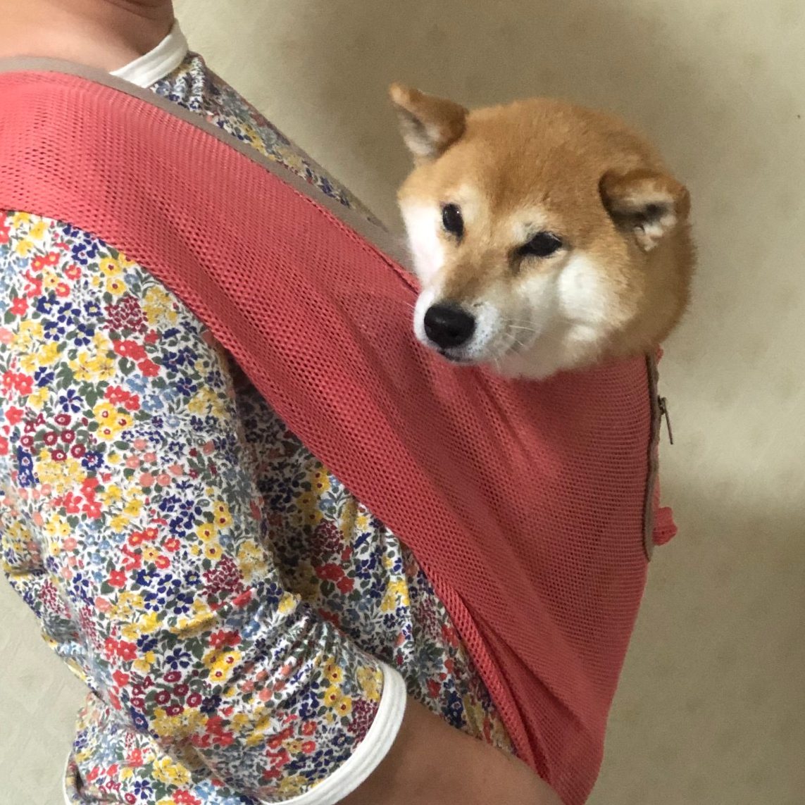 追加購入しました