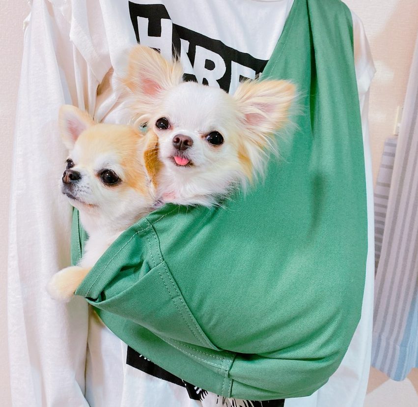 愛犬が安心してくれた