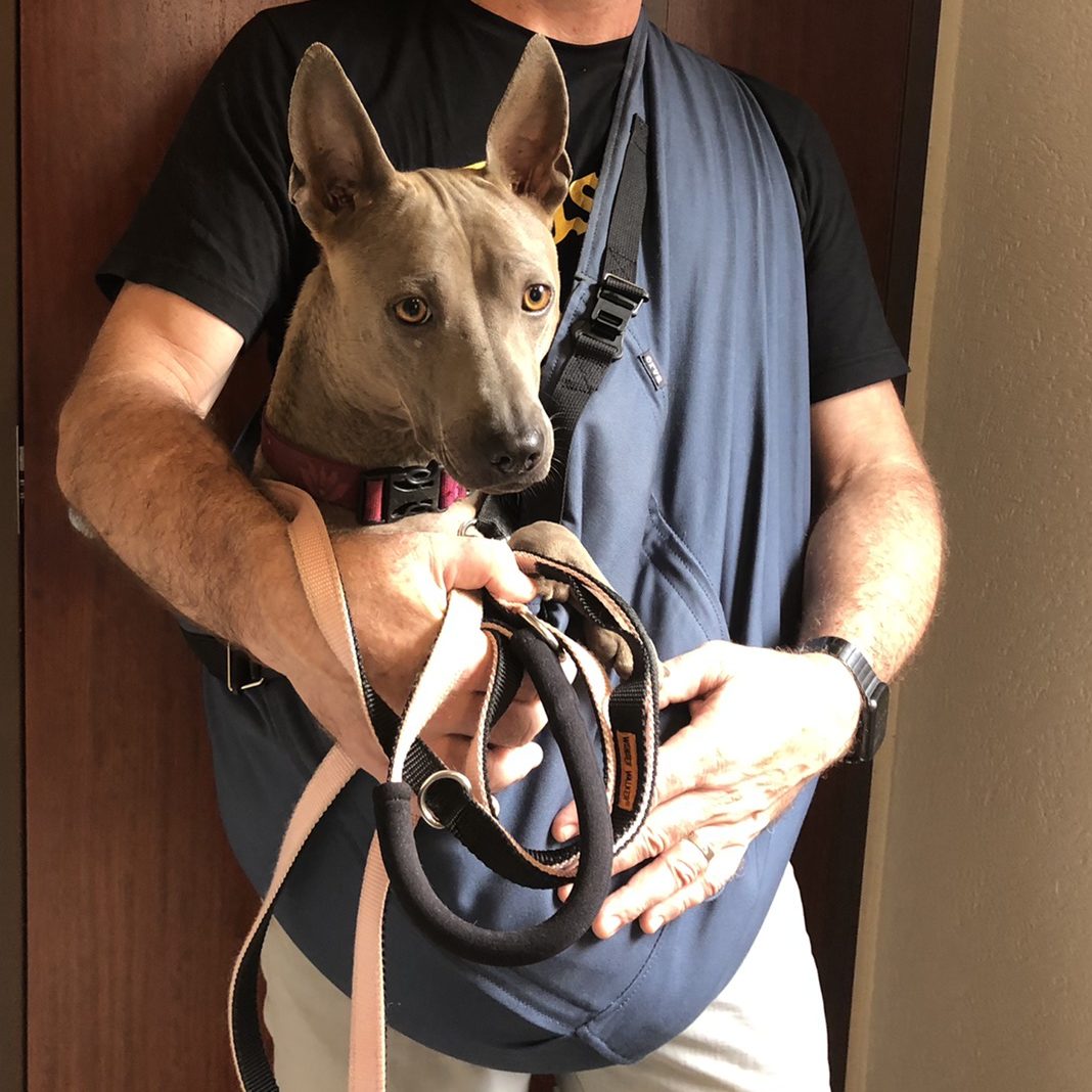 今まで使ったものの中で一番のクオリティ