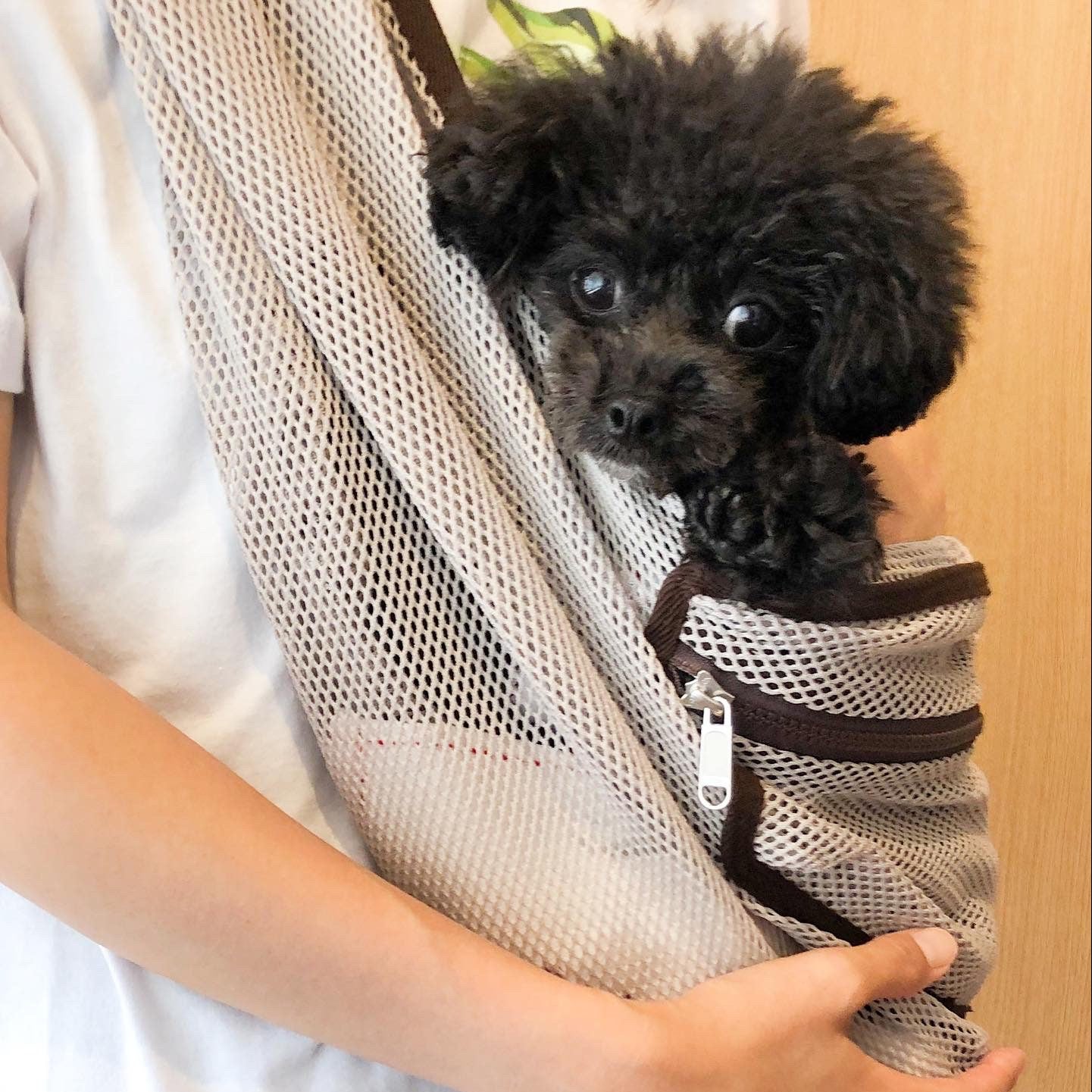 愛犬もすっぽり入り心地良さそう