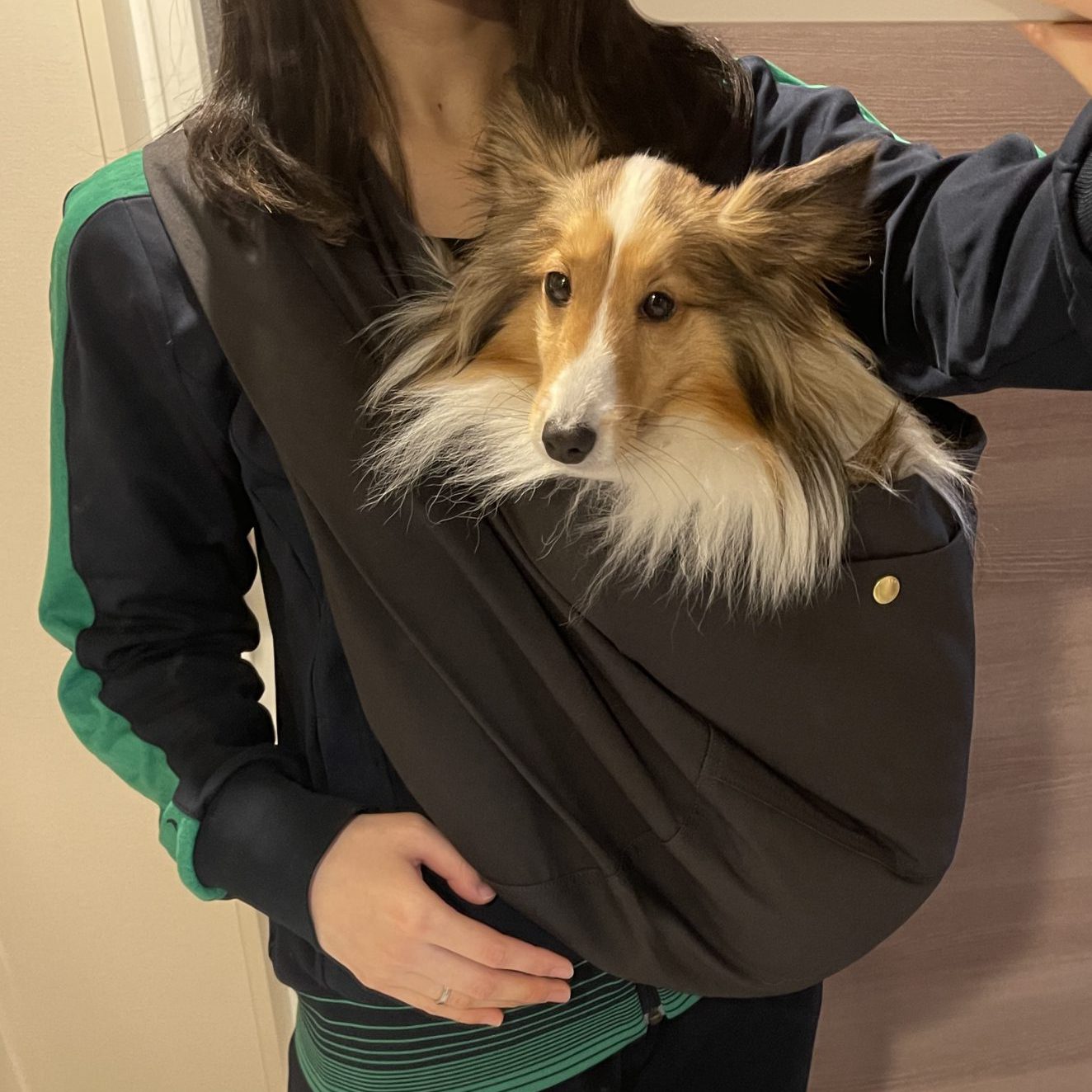 密着しているので抱えてる状態であり揺れず