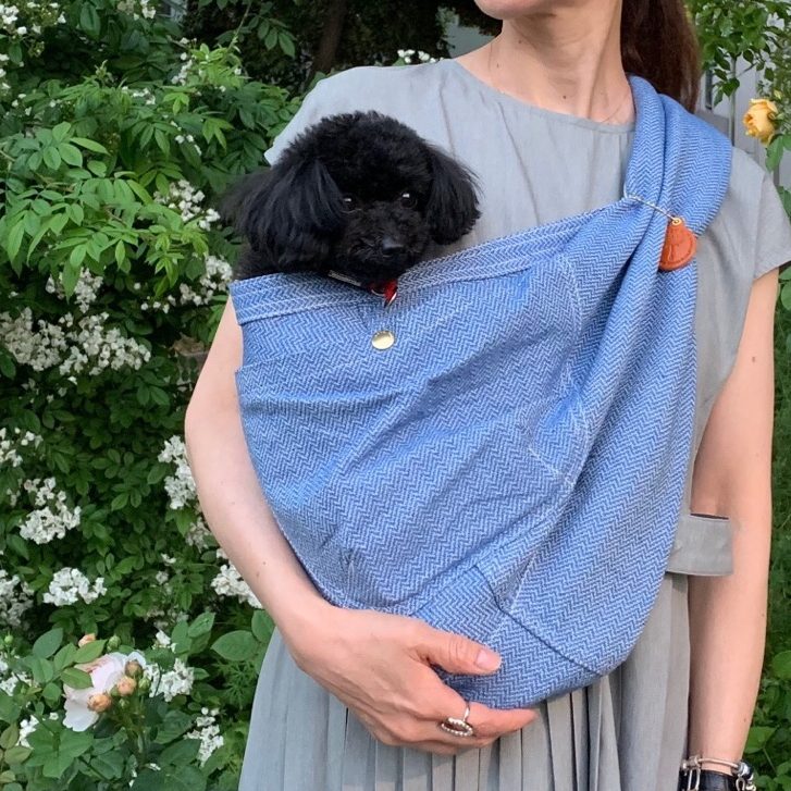犬との暮らしが一段と楽しくなりました