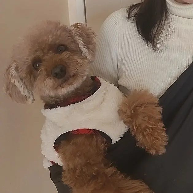 抱っこ用カバンは嫌がる