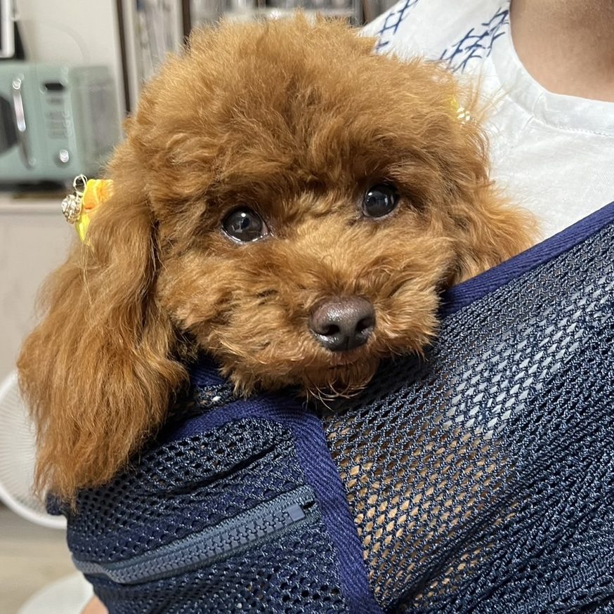 身体が小さい私にもピタッと密着感