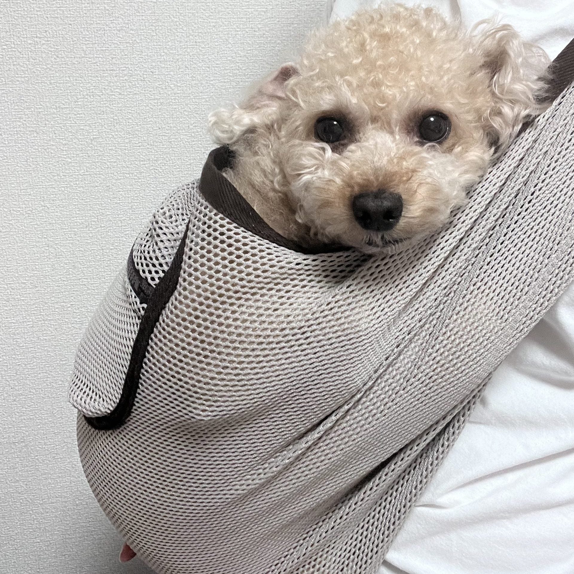 密着度も気に入っています！