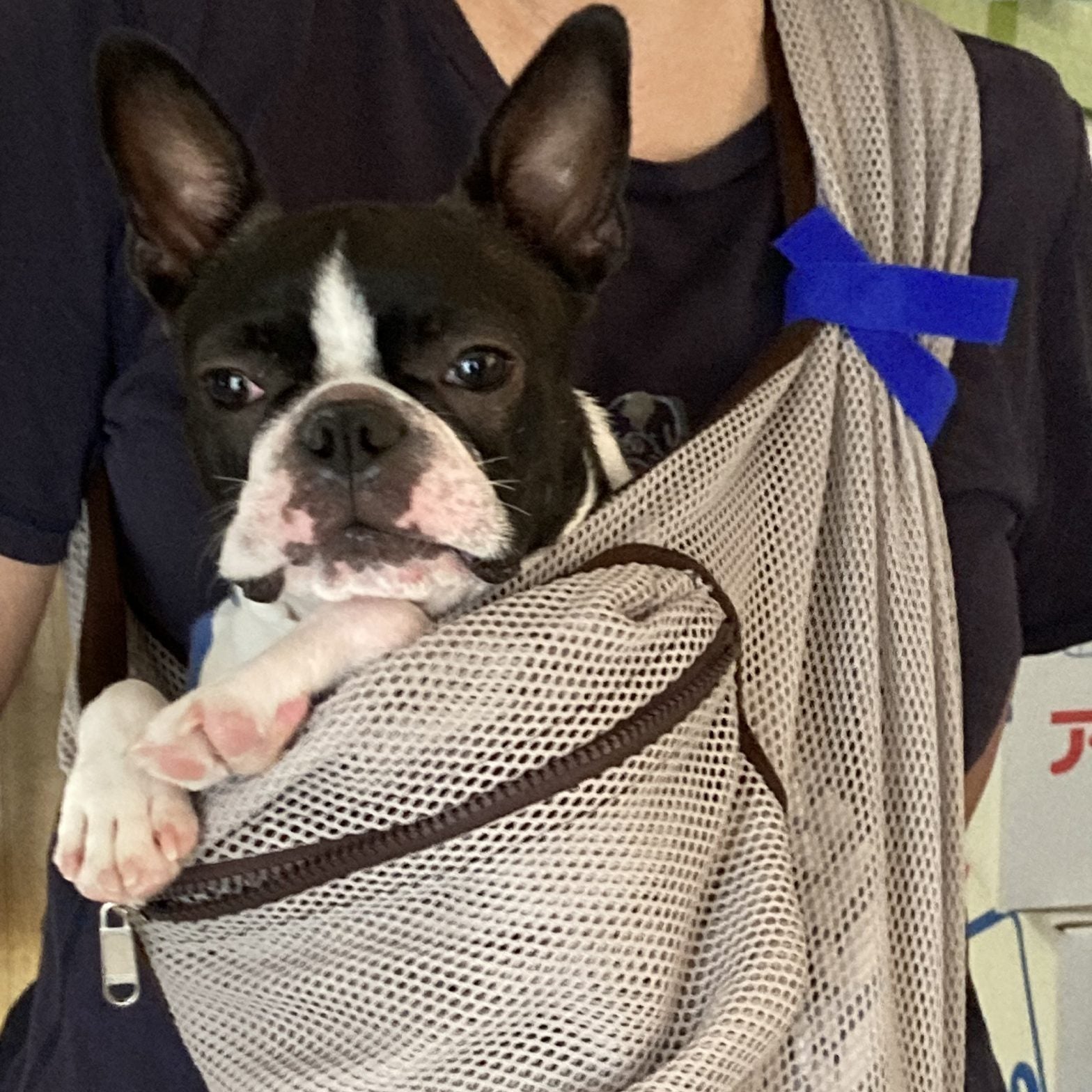 嫌がる事なく入ってくれて