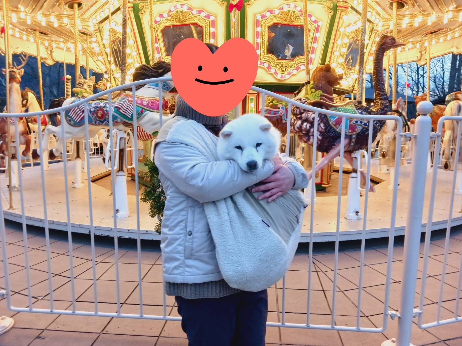 ハイシニアになって以来