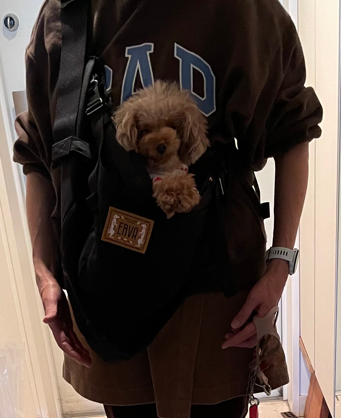 スリングに入るのが大好き